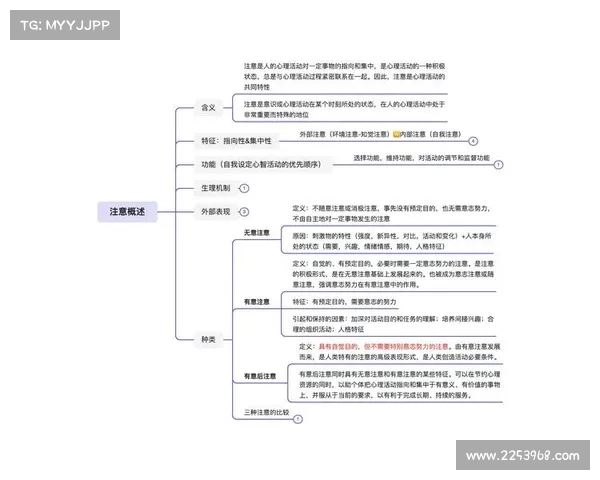 主教练指挥艺术：打造高效团队的战术与心理策略解析