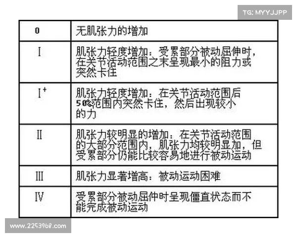 德甲裁判标准解析与实施细则：提升比赛公正性与竞技水平的关键因素