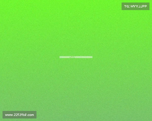 激战四方,谁能在NBA总决赛中笑傲群雄书写传奇历史